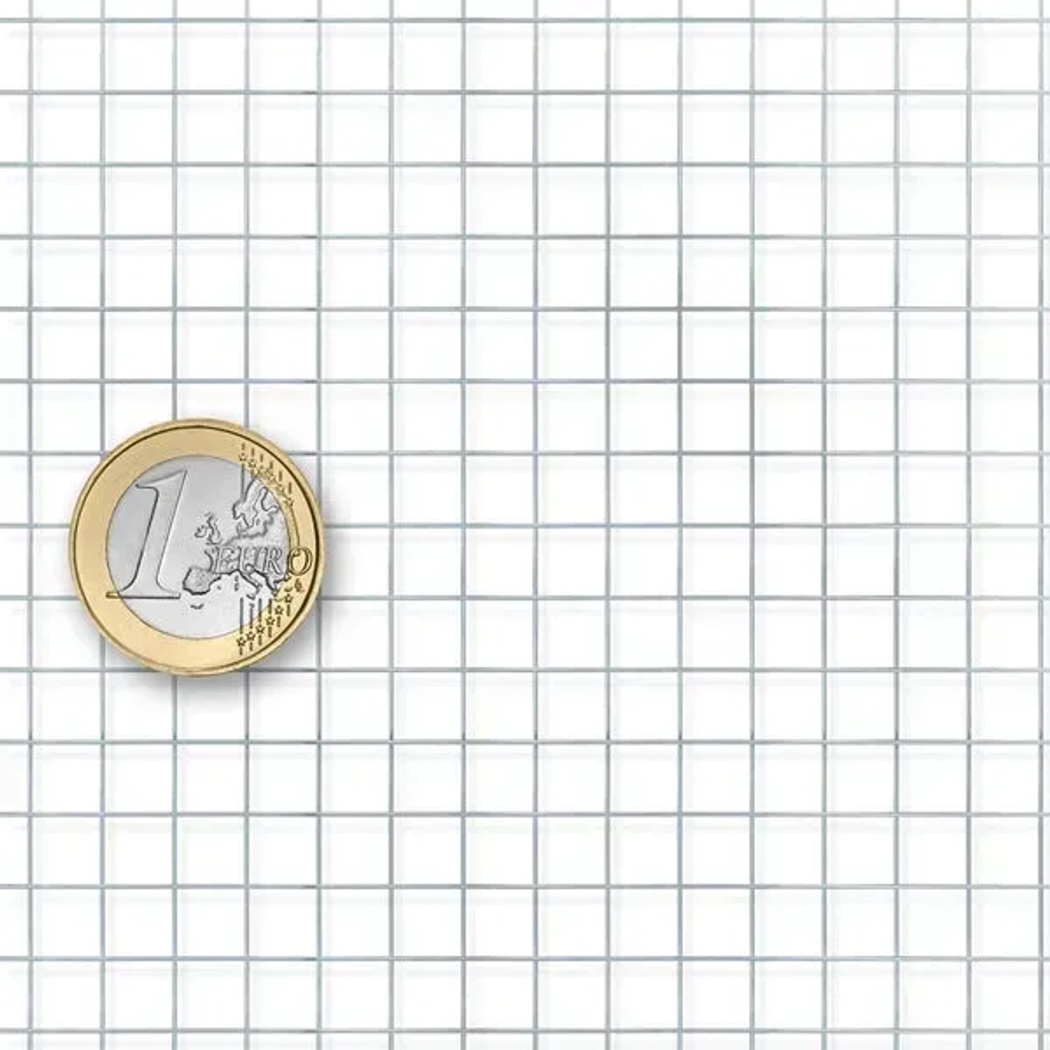 Feinmaschiger, verzinkter KARAT Drahtgitter Volierendraht mit 6,3 mm Maschenweite, mit Euro Münze als Größenvergleich.