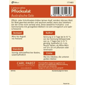Pabst Pflücksalat 'Australische Gele' Saatgut, spätschossend und ertragreich.