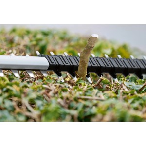 Bosch Professional Akku-Heckenschere GHE 18V-50 schneidet Ast in Hecke.