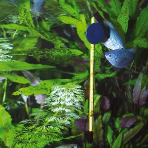 JBL Aquarium Thermometer Slim im Einsatz, präzise Temperaturmessung im bepflanzten Aquarium.