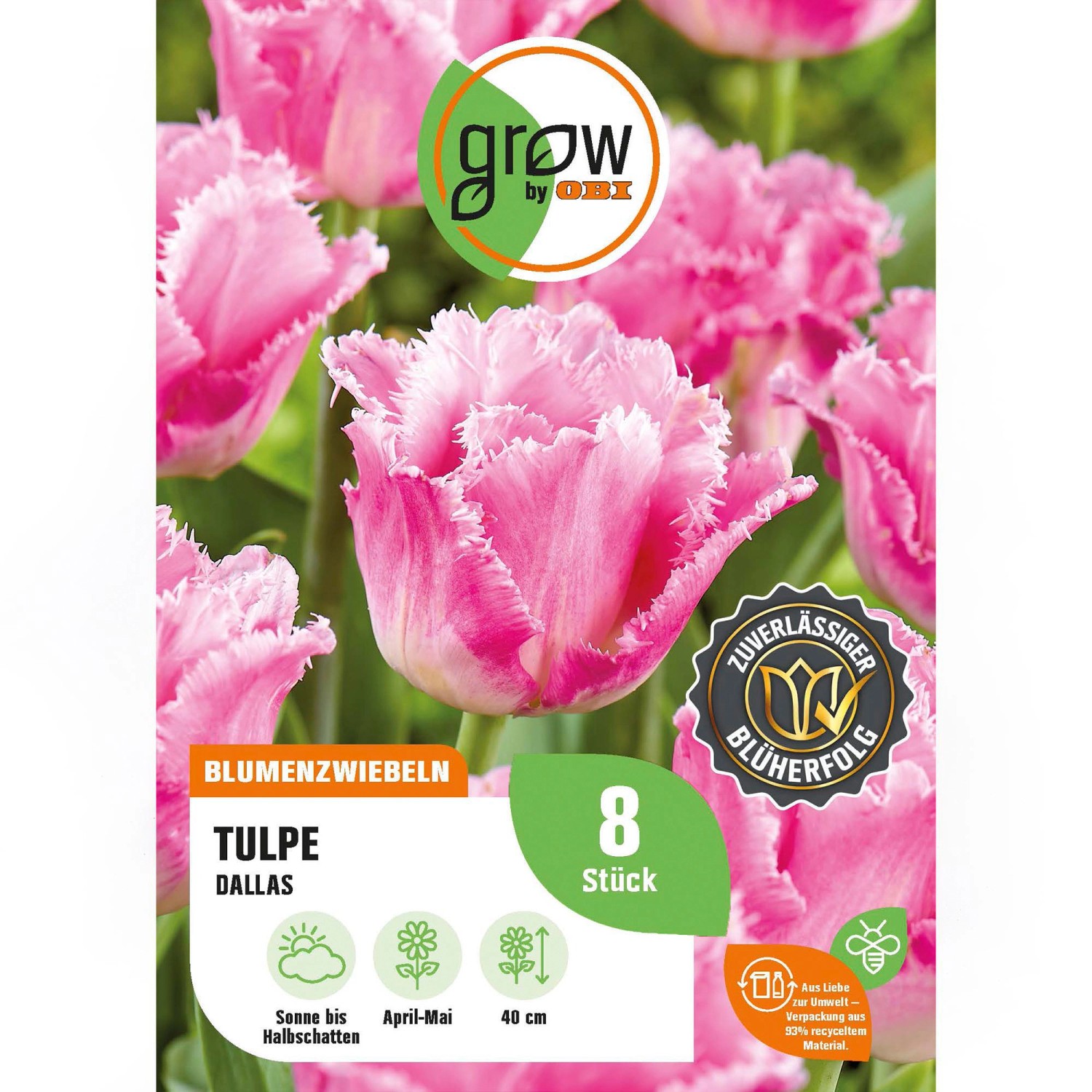 GROW by OBI Tulpe Dallas Rosa-Weiß 8 Stück Tulipa fringed Dallas günstig online kaufen