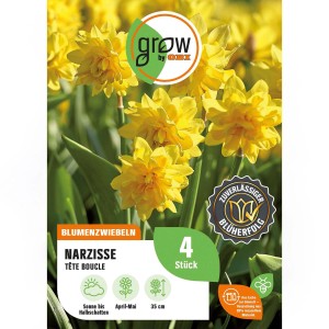 Gelbe Narzissen 'Tête Bouclé' von GROW by OBI, 4 Stück. Gefüllte Blüten, ideal für Beet und Rabatte.