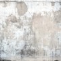 Erismann Fototapete Industria Grau, Vlies, 500x270cm, Betonwand Optik mit Rissen.