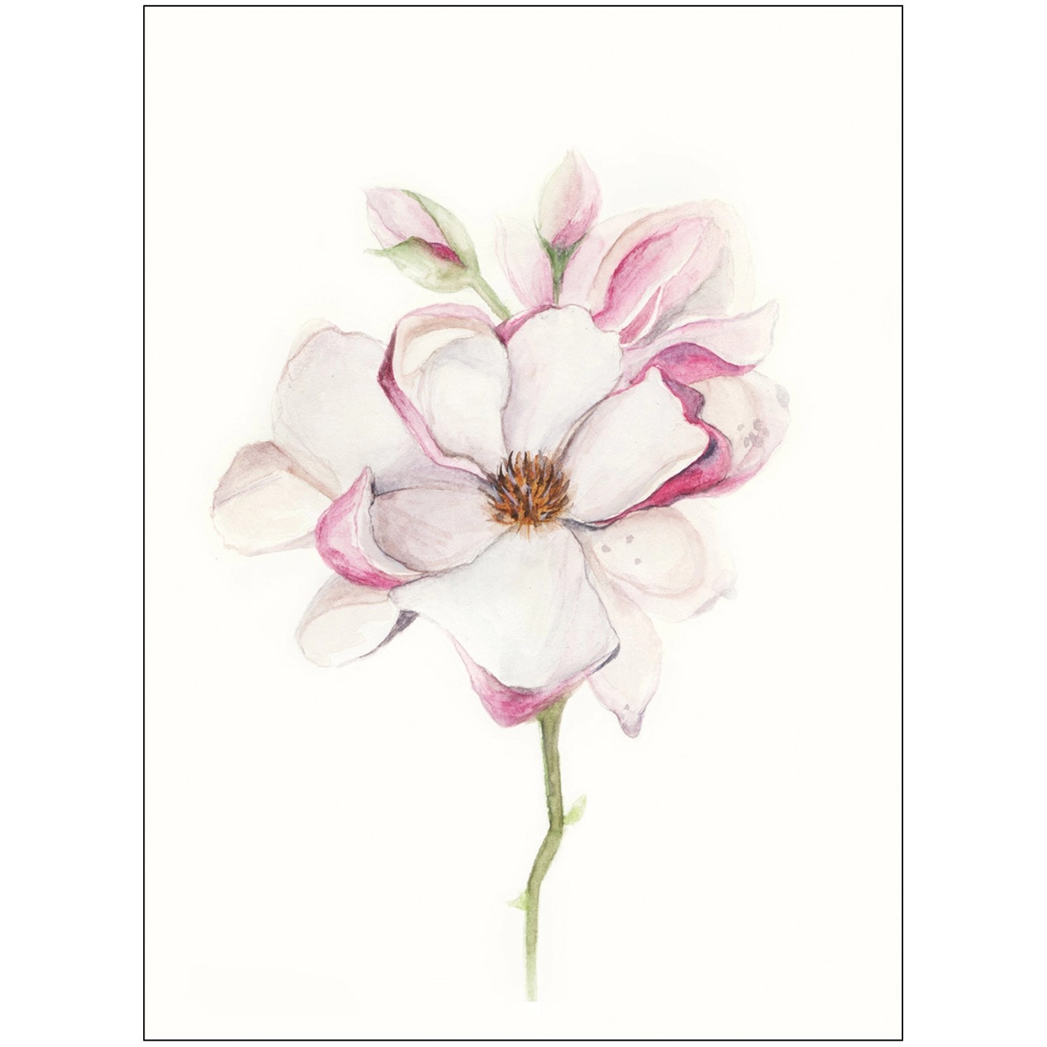 Komar Wandbild Magnolia Blossom 40 x 50 cm