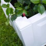 Detailansicht: Weißer KHW Pflanzkasten klein mit Spalier und grünen Pflanzen.