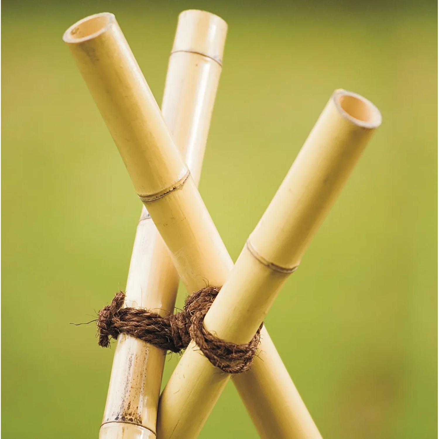 Windhager Kokos Pflanzenbinder 6 mm 15 m kaufen bei OBI