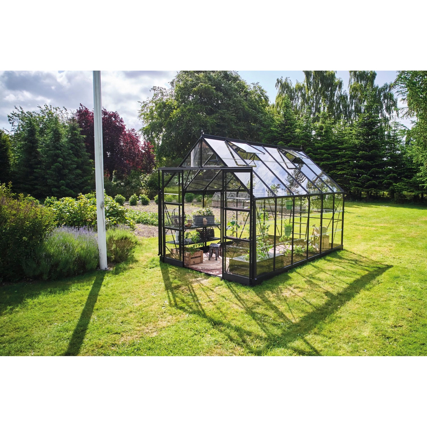 Halls Gewächshaus Icon 8 Schwarz 9,7 m² günstig online kaufen