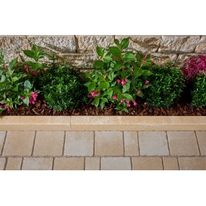 Kann Randstein Vero Sandsteingelb-Nuanciert 100 cm x 25 cm x 6 cm