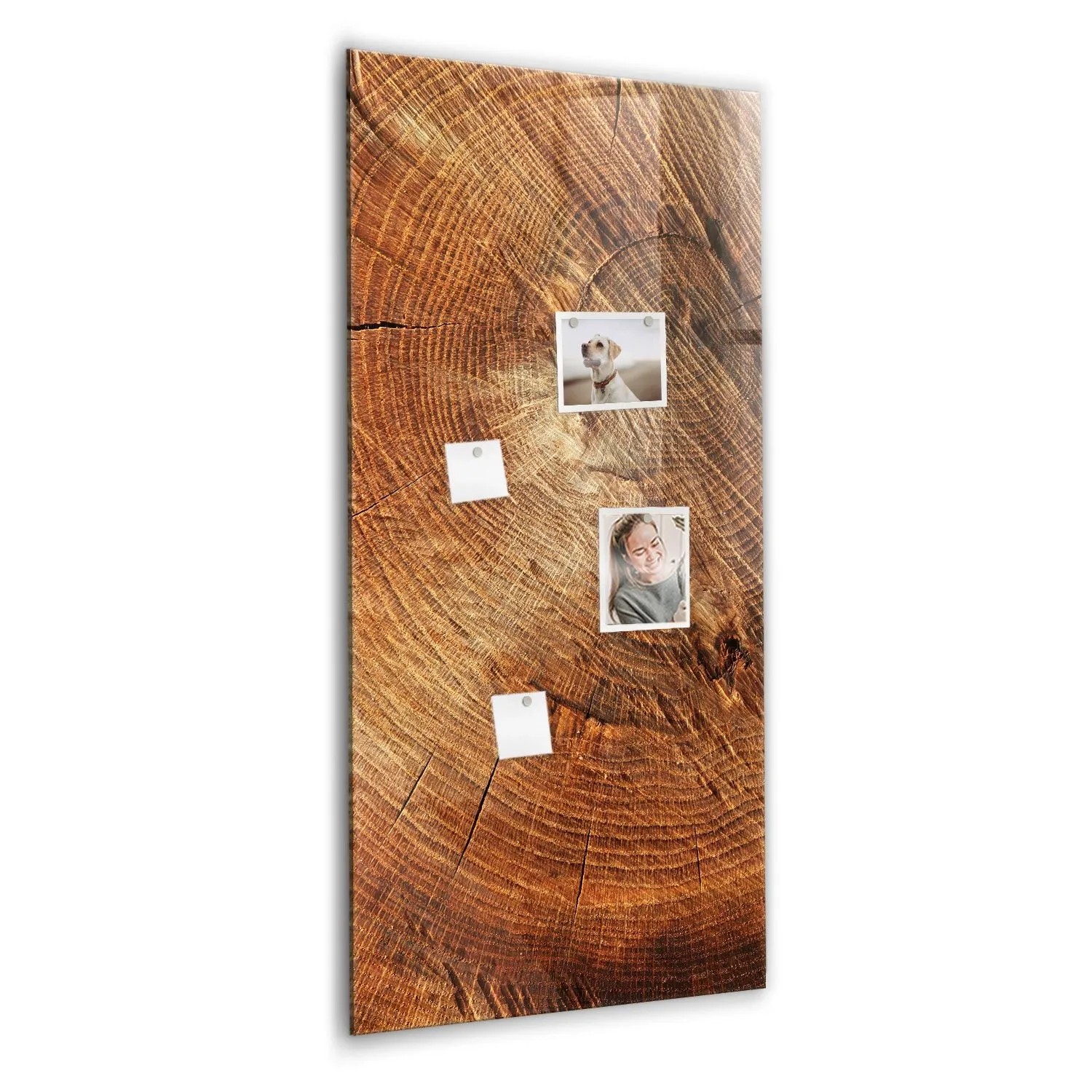 Tulup Glas Magnettafel Querschnitt Des Stammes 60x120 cm Magnettafel Zum Beschriften Weißer Marker Magnettafel Für Notiz...