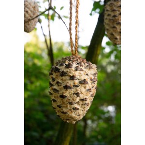 Dobar Vogelfutter-Mix: 4 große & 4 kleine Zapfen mit energiereicher Fettfutter-Füllung zum Aufhängen.