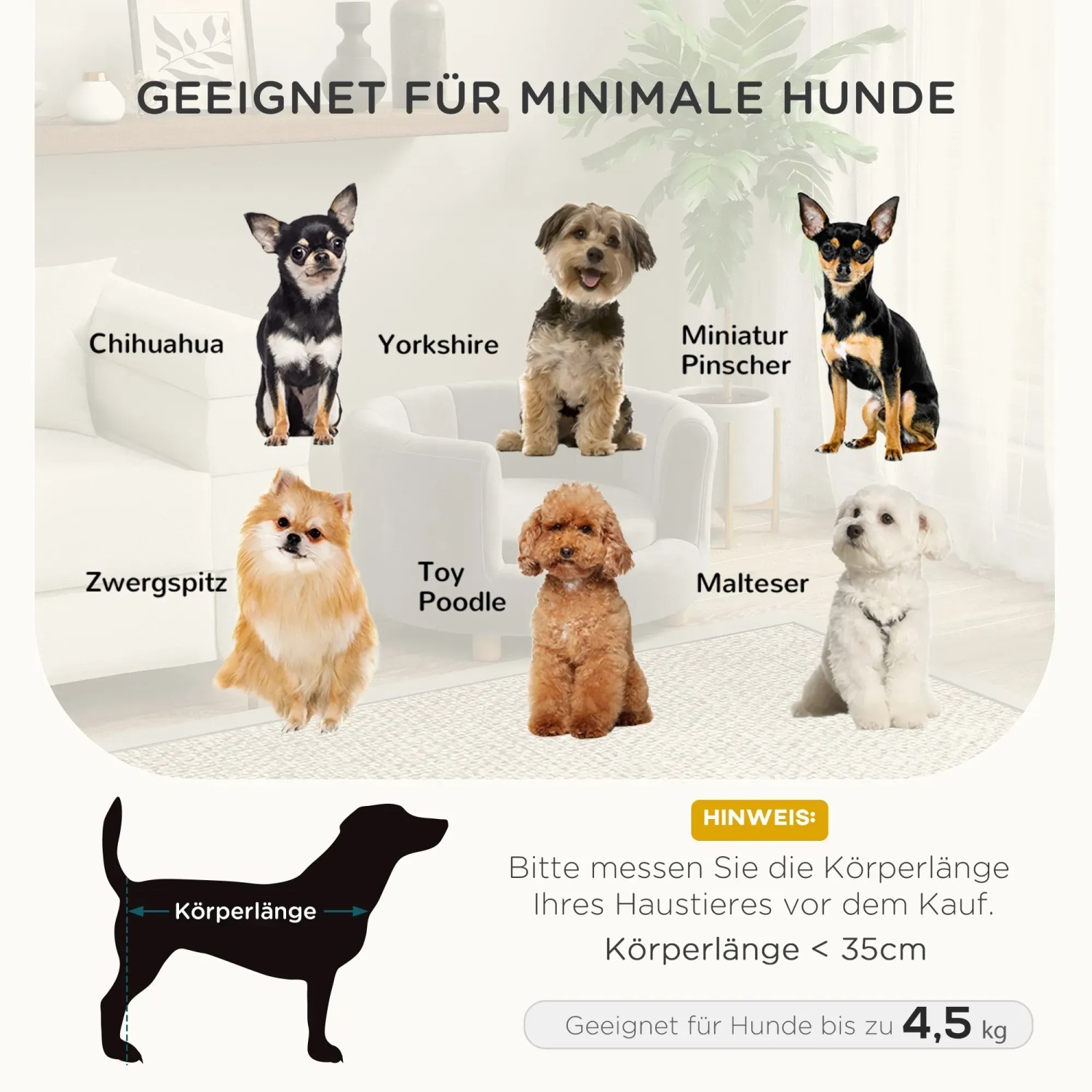 Hundesofa Größenhinweis: Geeignet für kleine Hunderassen wie Chihuahua, Malteser, Zwergspitz.