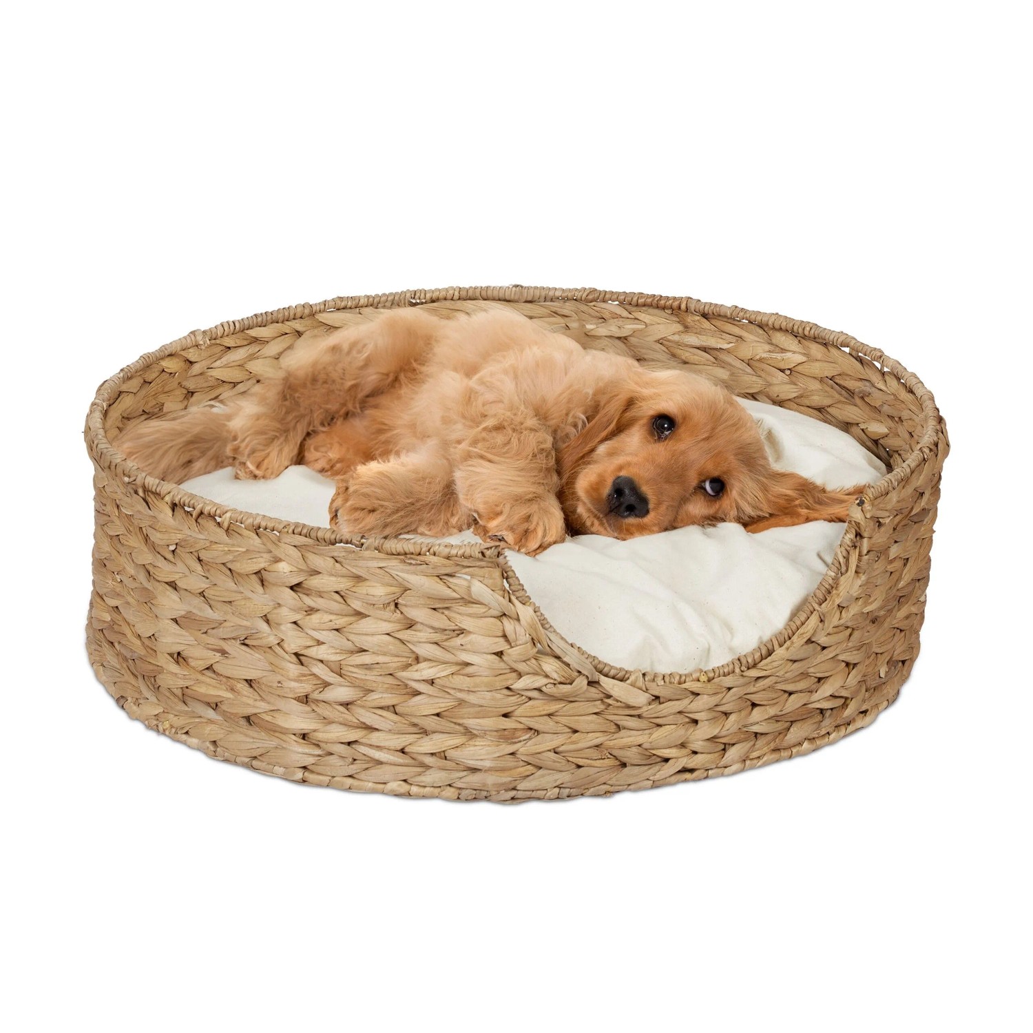 Relaxdays Tierbett Seegras Natur Creme mit Kissen 15 cm x 49 cm 1,4 kg