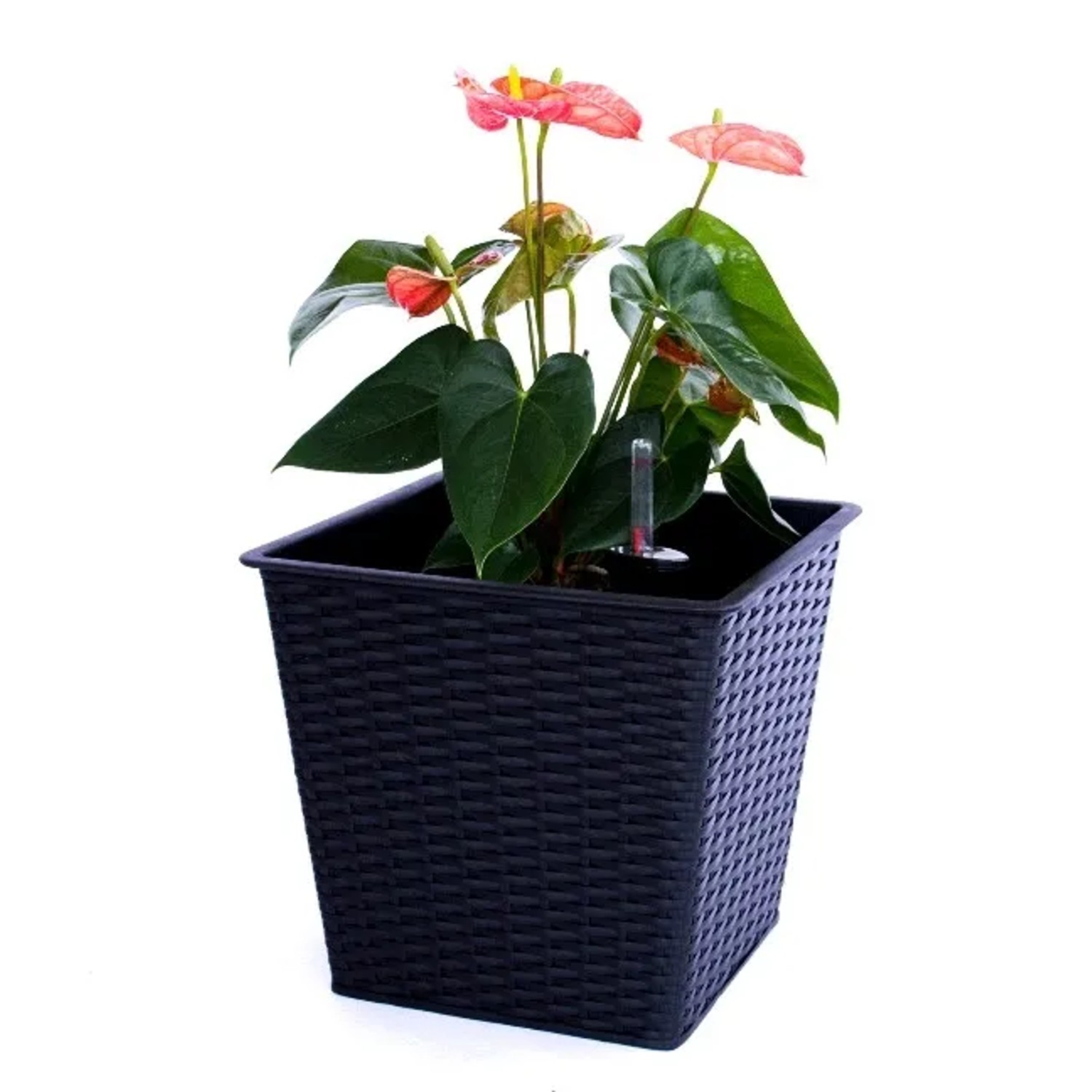 Elegant Einrichten Pflanzkübel Quadratisch-Konisch Polyrattan 26x26x24cm Schwarz