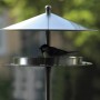 Edelstahl Futterhaus mit Ständer von Dobar, Vogel füttert im runden Design-Futterhaus.