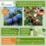TTL GARDEN Strauchstütze 70x40cm 6er Set Inkl. 10m Klettband Pflanzenhalter für Stauden Sträucher Rosen Rankhilfe Metall_8