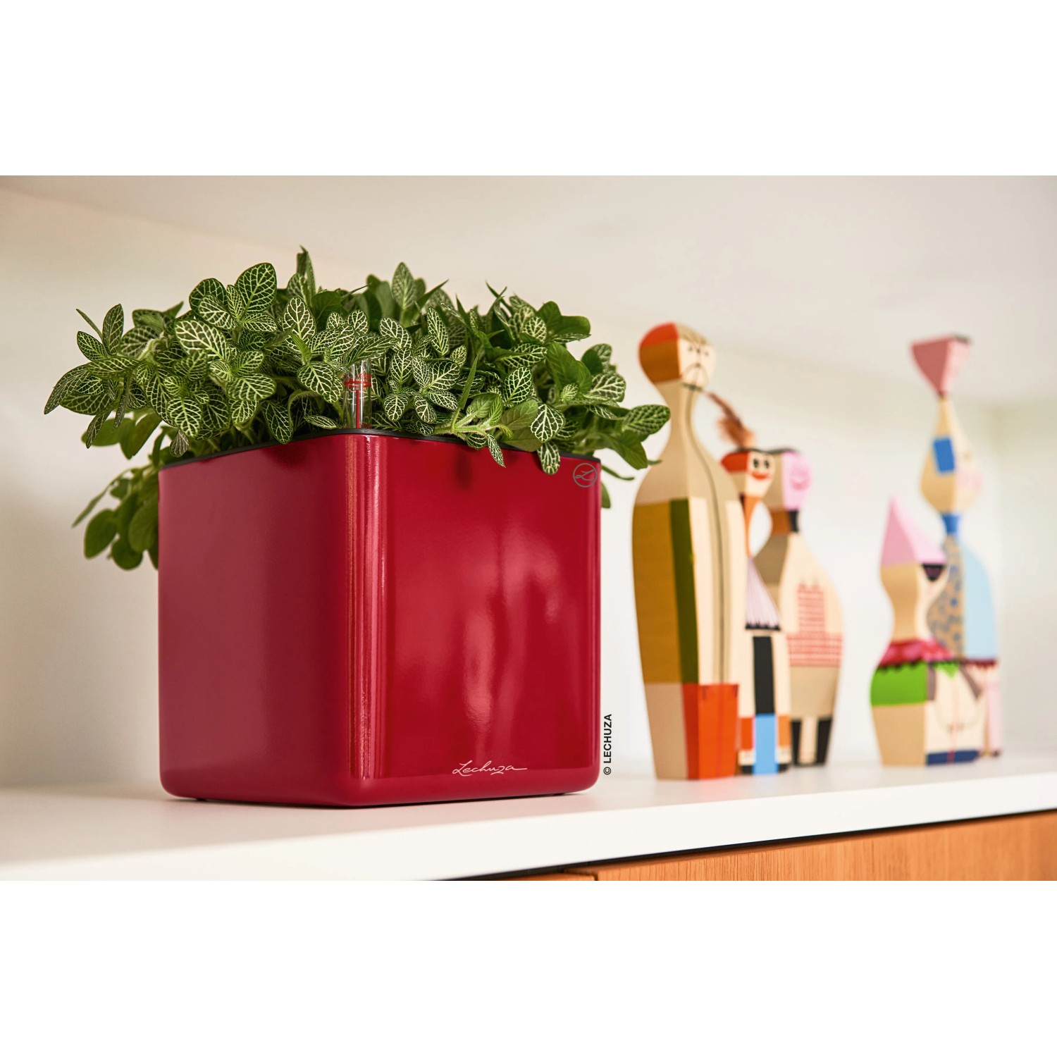 Lechuza Cube Glossy 14, scharlachroter Übertopf, 14x14 cm, mit Pflanze auf Regal.