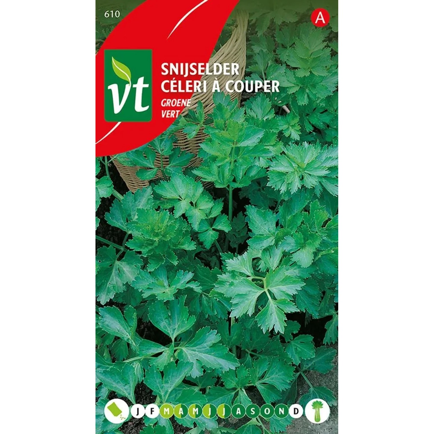 Knollensellerie 'Celeriac Green' Samen Ca. 3 g Kalorienarmes Gemüse