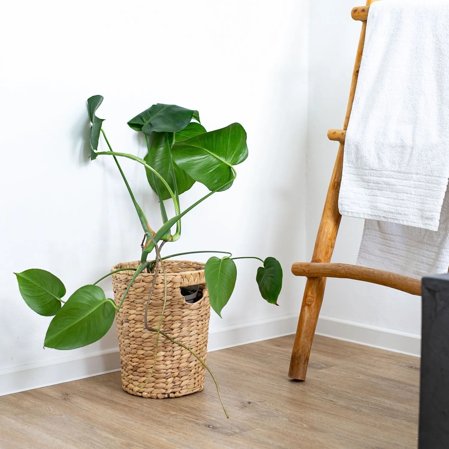 HMF 37250 Papierkorb Büro Aufbewahrungskorb Geflochten Wasserhyazinthe Rund 25 cm Durchmesser 30 cm Höhe_6