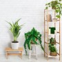 Bambus Hocker, naturfarben, 20,5x40x22cm, rutschfest. Vielseitig als Blumen- oder Kinderhocker.