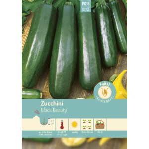 Pabst Keimkraft Zucchini Black Beauty Saatgut, mittelfrühe Sorte für ertragreiche Ernte.