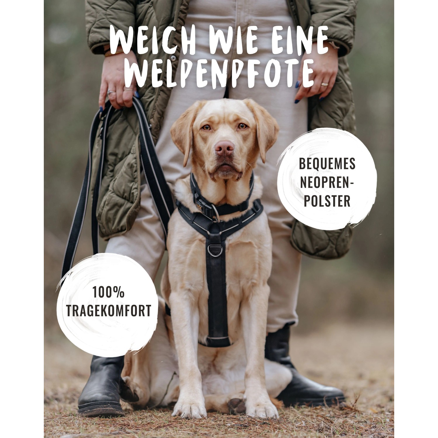 Hund mit Rudelkönig Hundegeschirr Paola, gepolstertes Brustgeschirr in Schwarz, Größe XL.