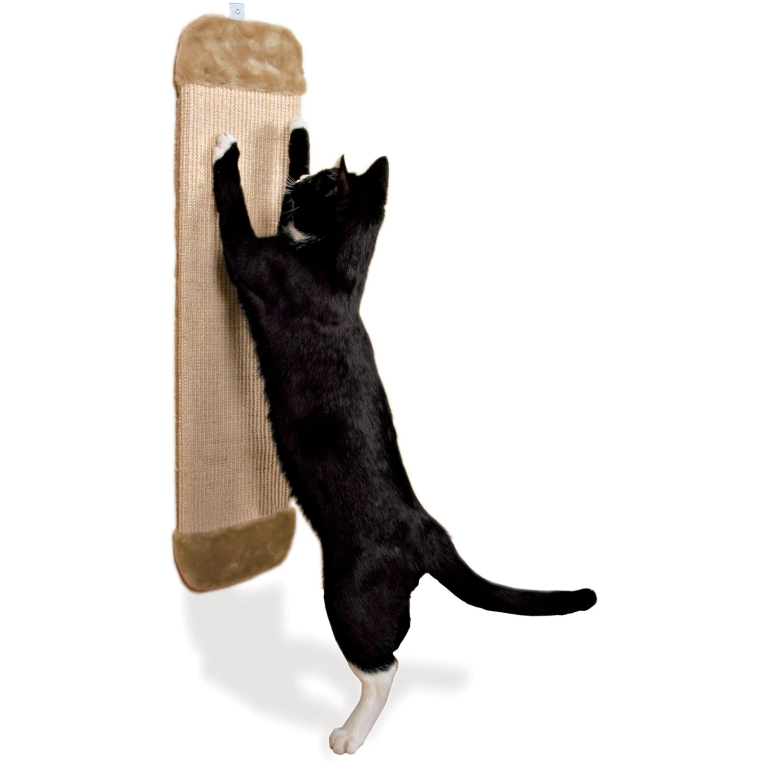 Katze kratzt am Trixie Kratzbrett XL, beige/natur, mit Sisal und Plüsch.