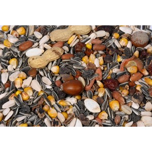 Dobar Eichhörnchenfutter-Set, 6kg: Mischung aus Saaten, Nüssen, Getreide, Früchten und Gemüse.