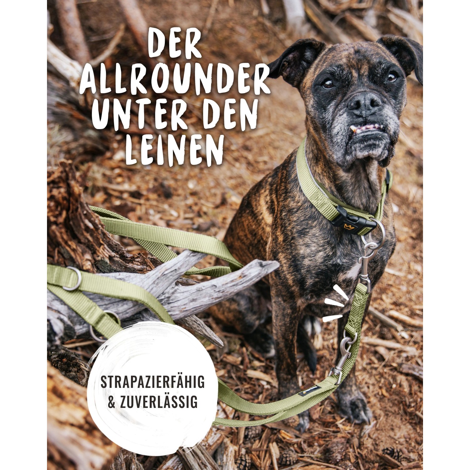 Verstellbare, grüne Rudelkönig Hundeleine Frida aus Nylon, Länge 230 cm, mit Hund.