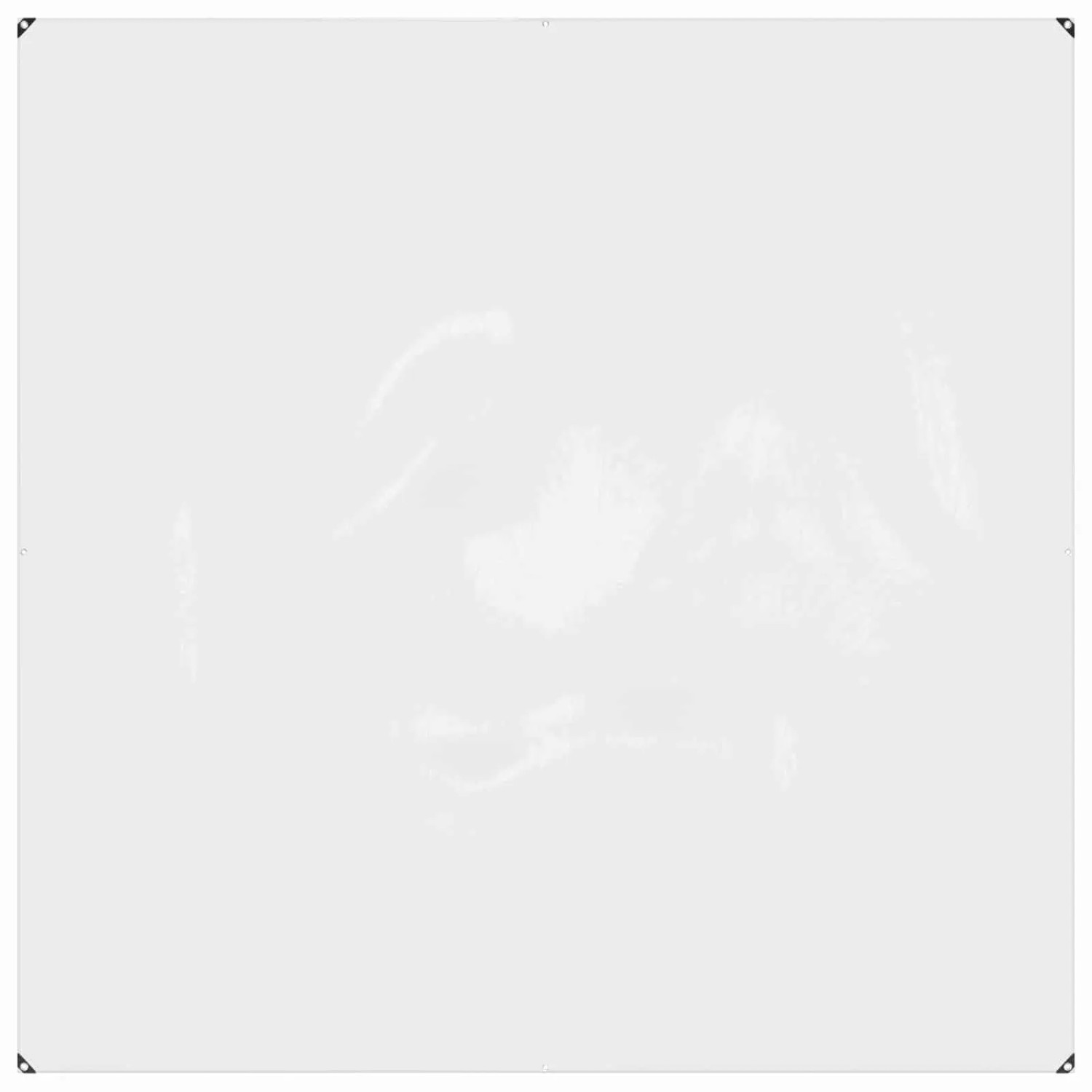 vidaXL Plane Transparent 2 x 2 m PVC 3429346