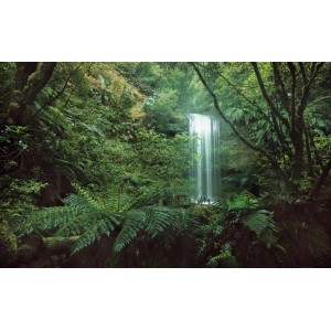 Vlies Fototapete „Secret Veil“: Wasserfall im grünen Dschungel, 450x280 cm.