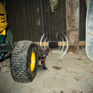 Gardigo Marder-Frei Mobil im Einsatz: Marderabwehr für Haus, Garage und Auto.