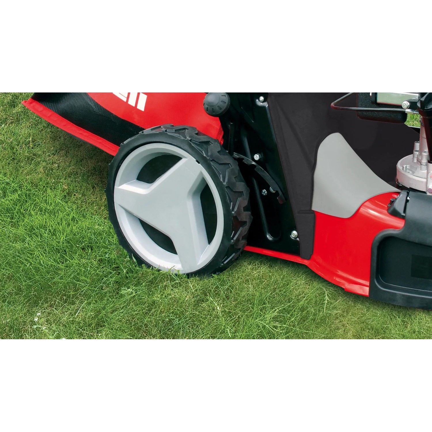 Detailaufnahme: Einhell GC-PM 56/2 S HW Benzin-Rasenmäher Rad auf Rasen.
