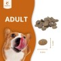 Wildfang Adult Trockenfutter mit Ente Getreidefrei 2 x 6 kg_6