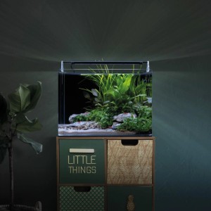Dennerle Nano Tank 35 l Aquarium mit abgerundeten Ecken, LED-Beleuchtung, Pflanzen und Garnelen auf dunklem Schrank.