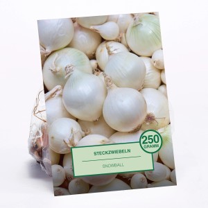 Steckzwiebeln 'Snowball', 250g Packung. Weiße Zwiebeln zum Pflanzen im Garten.