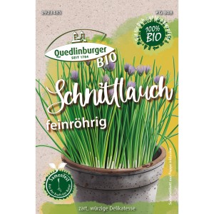 Bio-Schnittlauch Feinröhrig von Quedlinburger im Topf mit lila Blüten.