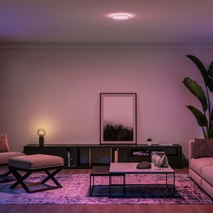 Philips Hue LED-Panel Tento White & Color Ambiance S Weiß Ø 29,1 cm