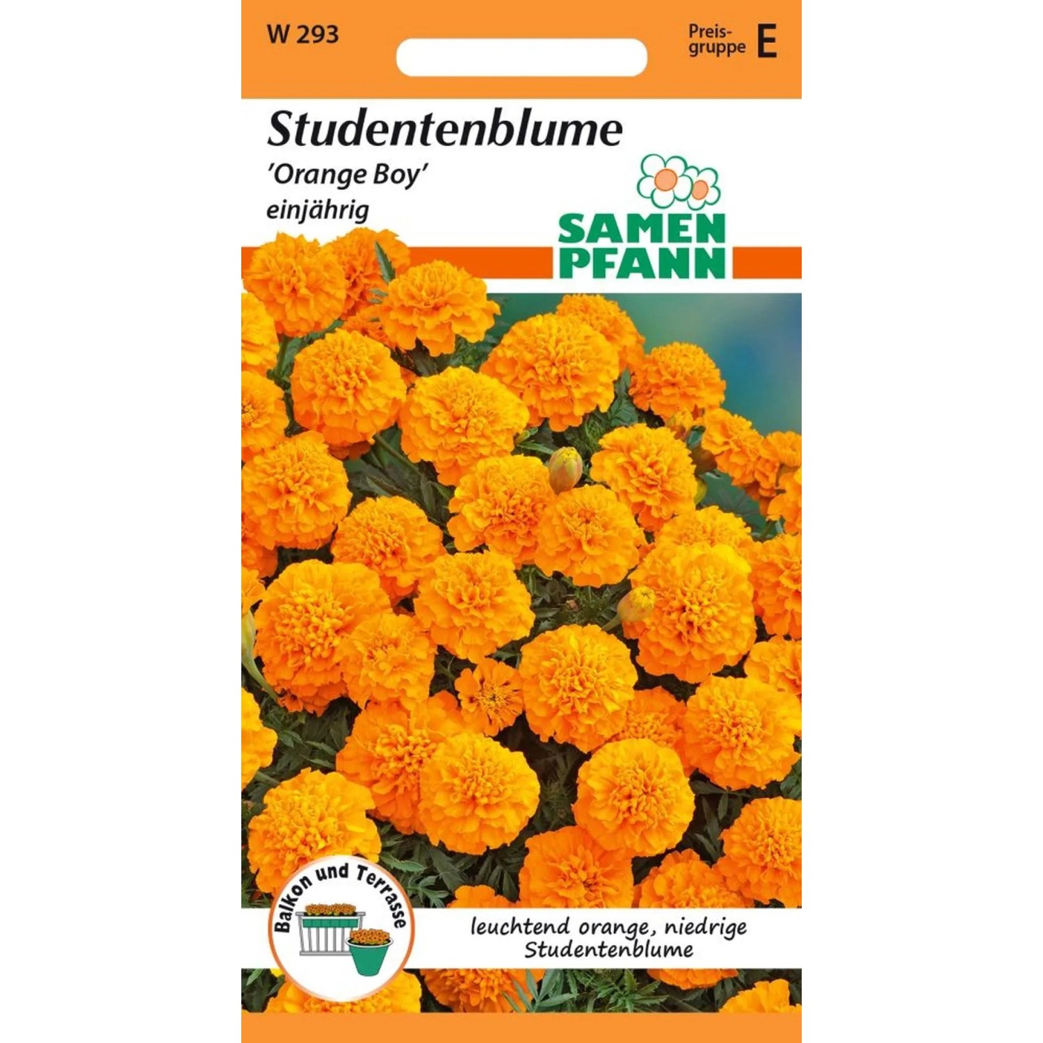 SAMEN PFANN Tagetes Orange Boy