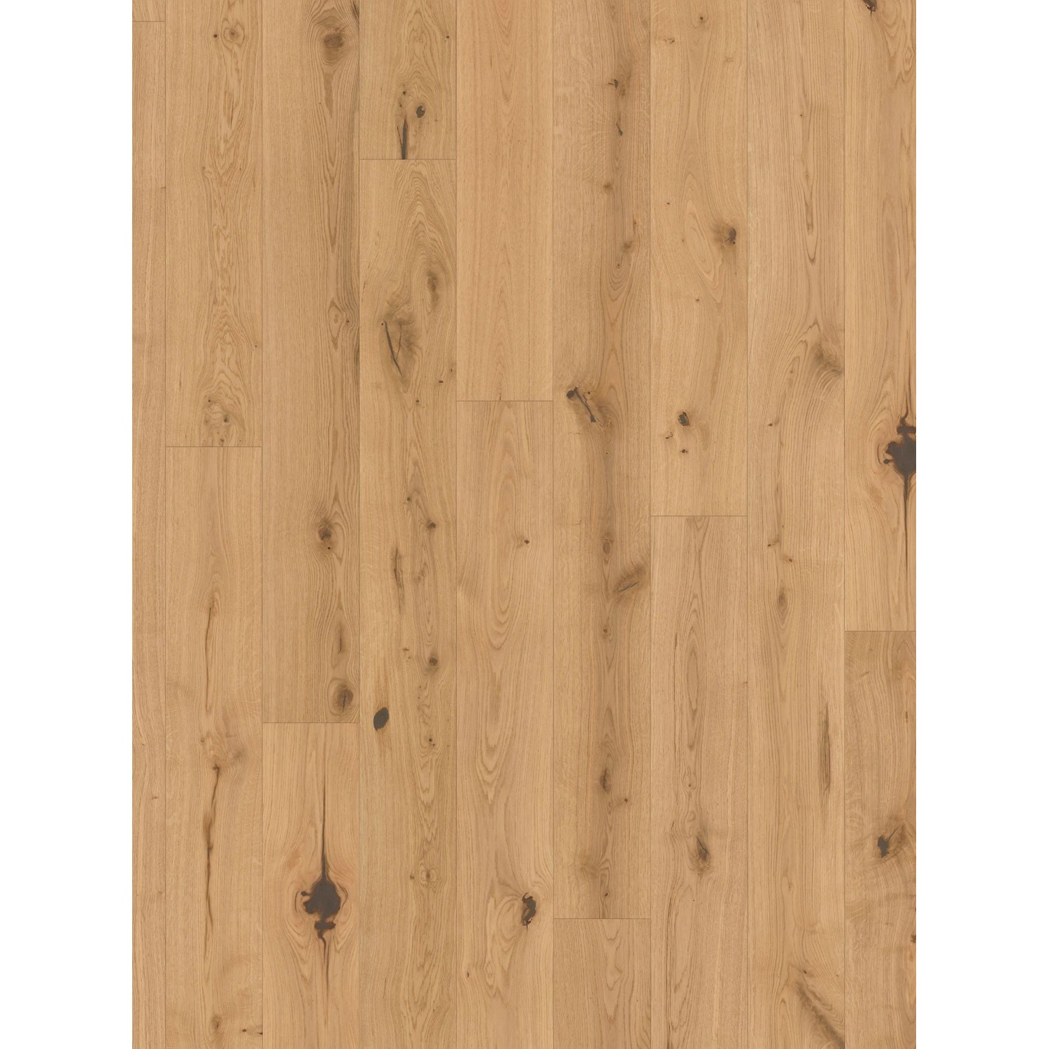 Parador Parkettmuster Basic Character Eiche Chianti Lackiert Matt