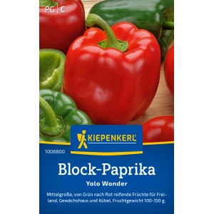 Kiepenkerl Paprika Yolo Wonder B: Rote und grüne Blockpaprika vor blauem Hintergrund.