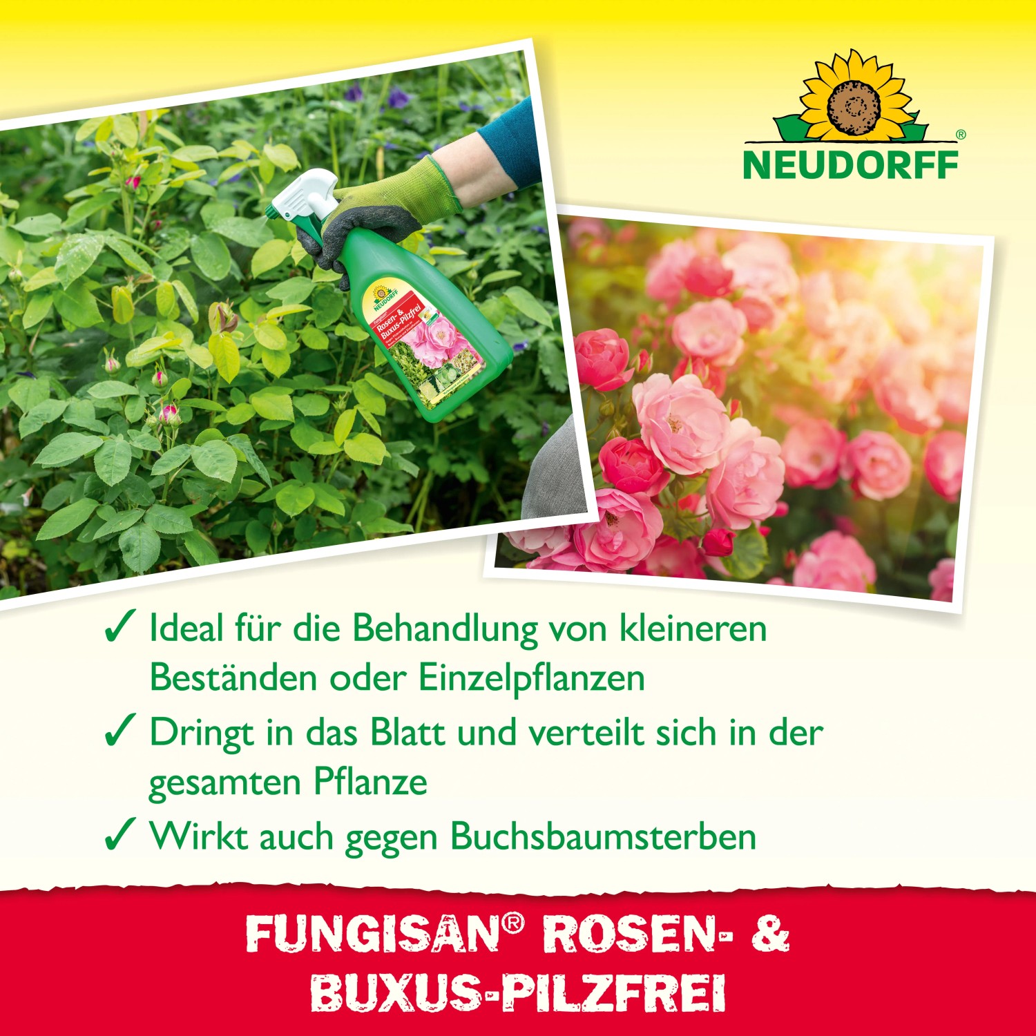 NEUDORFF Cueva ® AF Rosen-Pilzfrei, 750 Ml ES