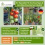 TTL GARDEN Rankstäbe 90cm 15er Set 11mm Kunststoffbeschichtet Pflanzstäbe Rankhilfe Tomatenstab Für Garten Gewächshaus_8