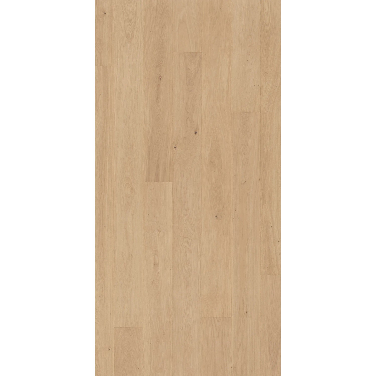 Parador Parkett Basic Classic Eiche Pure matt, Landhausdiele. Helles Eichenholz mit matter Oberfläche.