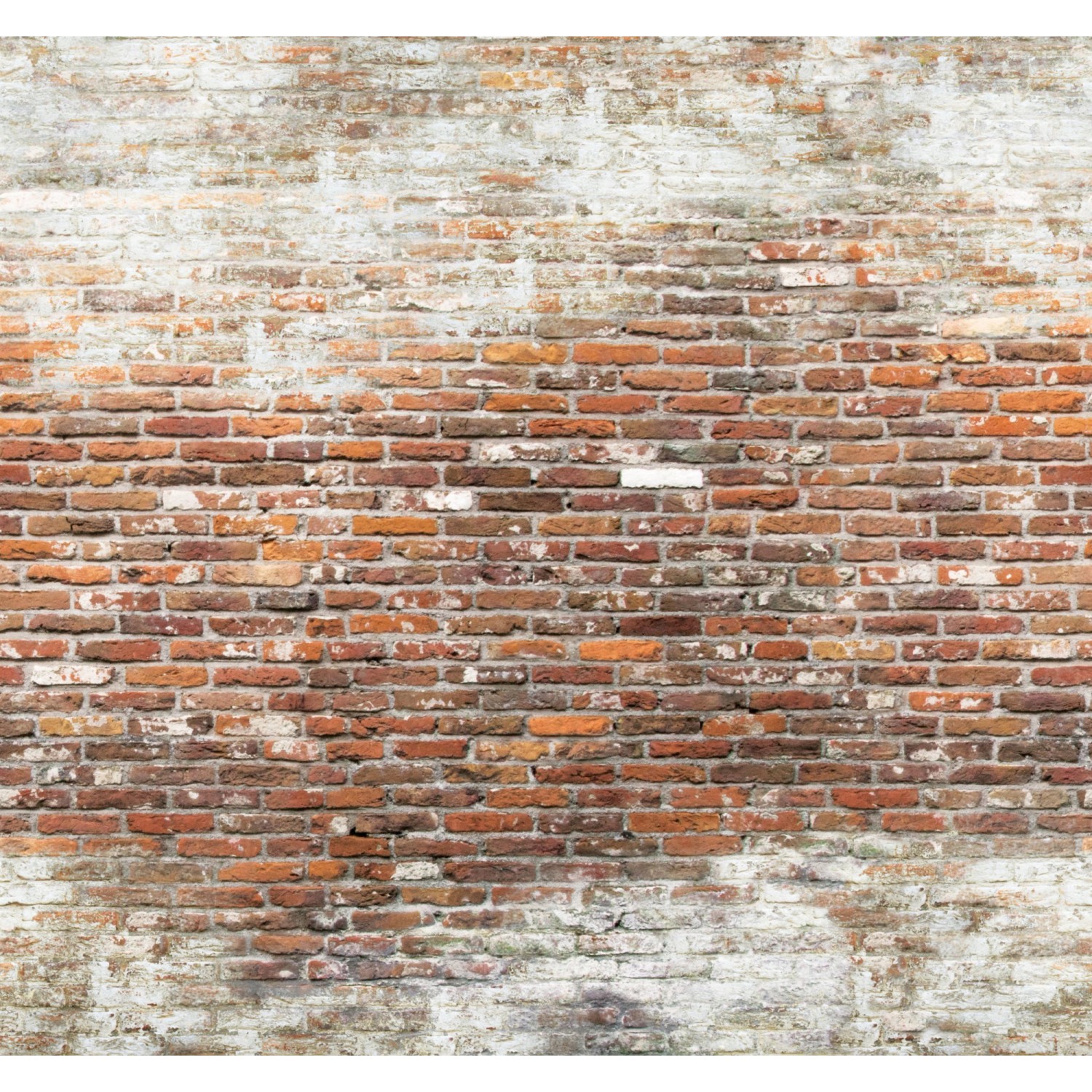 Art for the Home Fototapete Brick wall 2 280 x 300 cm günstig online kaufen