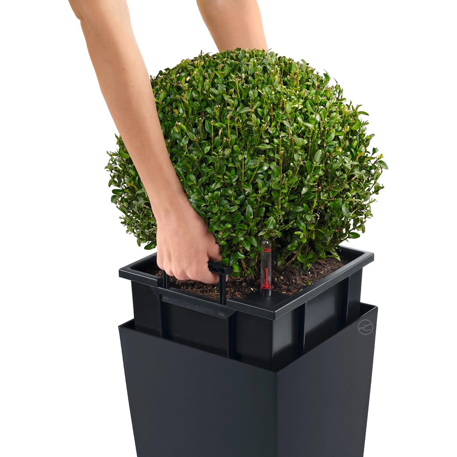 Lechuza Cubico Color 22 Pflanzsäule in Schiefergrau mit Pflanzeinsatz und Bewässerungssystem.