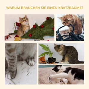 Collage: Katzen zerstören Möbel; Lösung: PawHut Kratzbaum