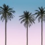 Komar Fototapete Vlies Skyhigh: Drei Palmen vor blau-rosa Himmel, tropisches Flair für Ihr Zuhause.