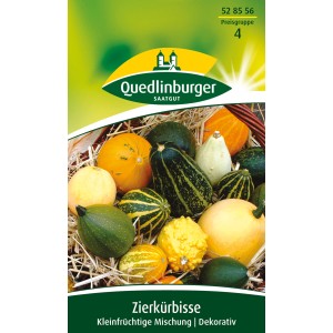 Quedlinburger Zierkürbis 'kleinfrüchtige Mischung' Samen, verschiedene Farben und Formen.
