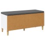 vidaXL Flurbank mit Kissen mit Speicher mit Tür Weiß 100 x 38 x 46 cm 891536_8