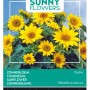 Sonnenblume 'Pacino Gold' Buzzy Sunny Flowers Samen Circa 0,75 g Kompakt Wachsend